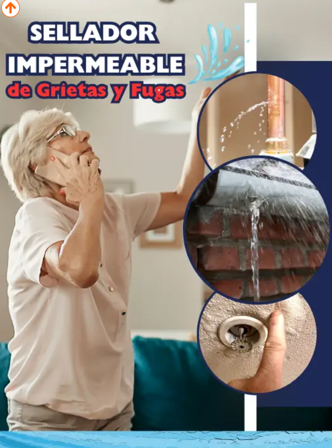 Impermeabilizante de Alta Durabilidad: Invierte en la Seguridad de Tu Hogar