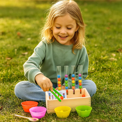 Juego de aprendizaje que Desarrolla Cerebros Brillantes con colores y números Montessori